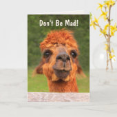 Goofy Llama Birthday Kaart (Gele Bloem)