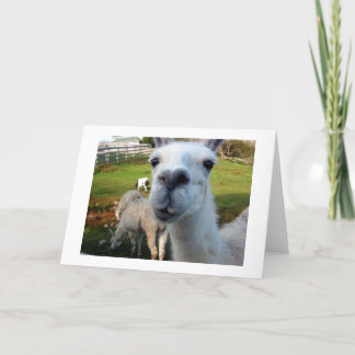 Goofy Llama Blank Wenskaart Kaart