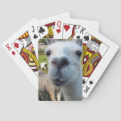 Goofy Llama-speelkaarten Pokerkaarten (Achterkant)