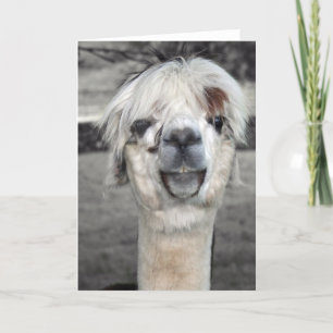 Goofy Llama-Wenskaart Kaart