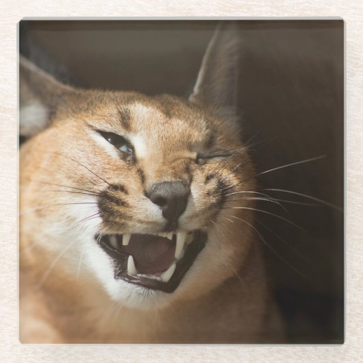 Goofy Lynx Glazen Onderzetter (Voorkant)