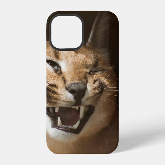 Goofy Lynx iPhone Hoesje (Achterkant)