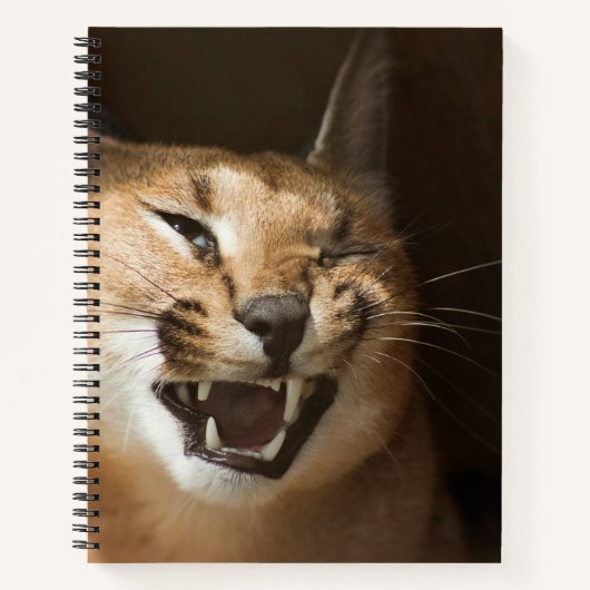 Goofy Lynx Notitieboek (Voorkant)
