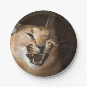 Goofy Lynx Papieren Bordje