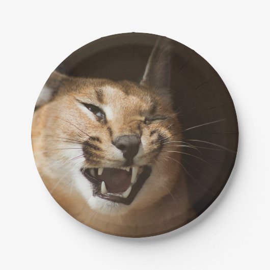 Goofy Lynx Papieren Bordje (Voorkant)