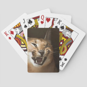 Goofy Lynx Pokerkaarten