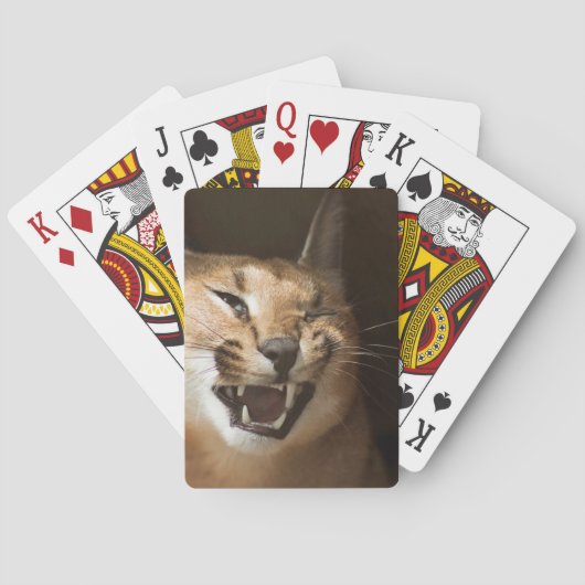 Goofy Lynx Pokerkaarten (Achterkant)