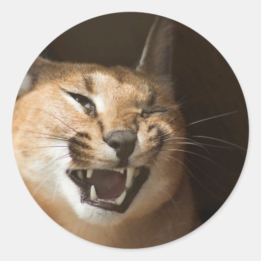 Goofy Lynx Ronde Sticker (Voorkant)