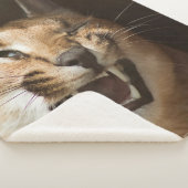 Goofy Lynx Sherpa Deken (3/4)