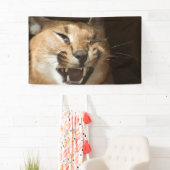 Goofy Lynx Spandoek (Insitu)