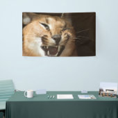 Goofy Lynx Spandoek (Beurs)