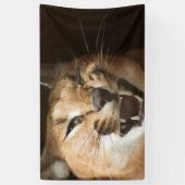 Goofy Lynx Spandoek (Verticaal)