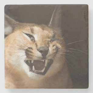 Goofy Lynx Stenen Onderzetter