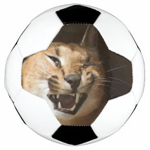 Goofy Lynx Voetbal