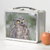 Goofy Owl Metal Lunchbox (In situ)