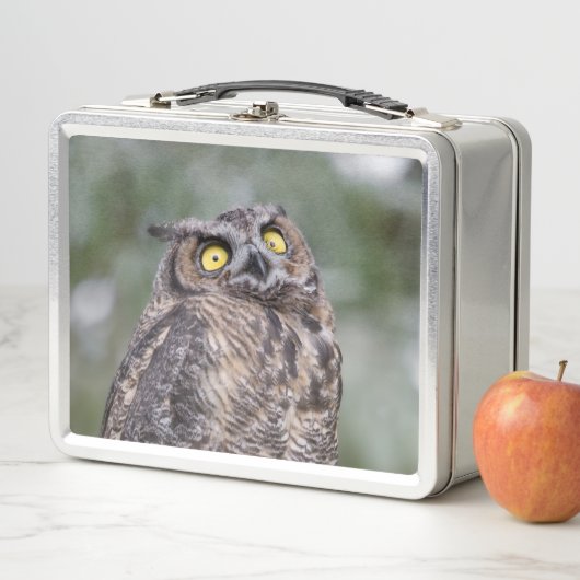Goofy Owl Metal Lunchbox (In situ)
