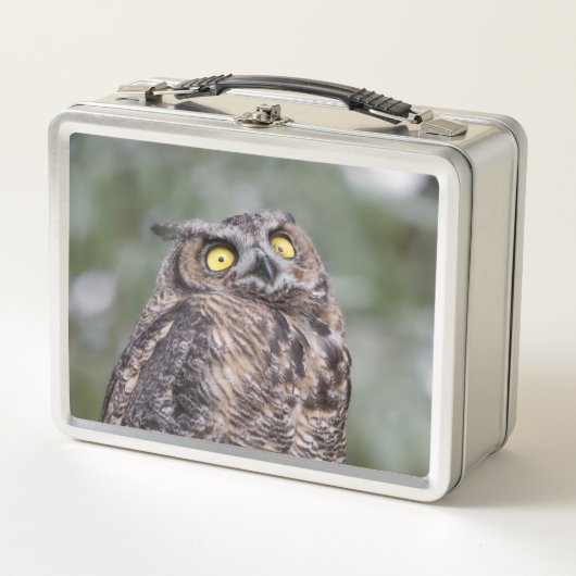 Goofy Owl Metal Lunchbox (Voorkant)