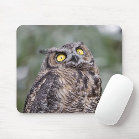 Goofy Owl Mousepad Muismat (Met muis)