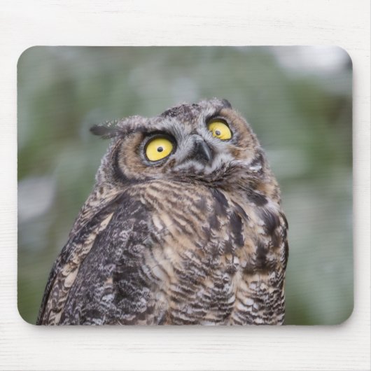 Goofy Owl Mousepad Muismat (Voorkant)
