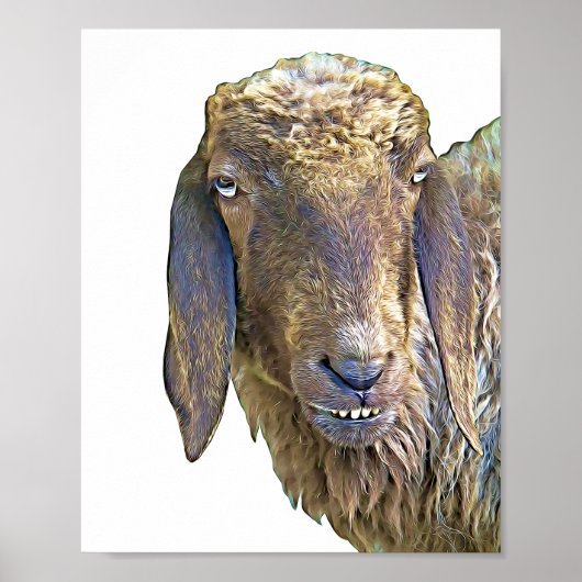 Goofy Sheep Face Boerderij Animal Art Poster (Voorkant)