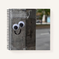 Googly Eyes Eyeball New York City Photography NYC
