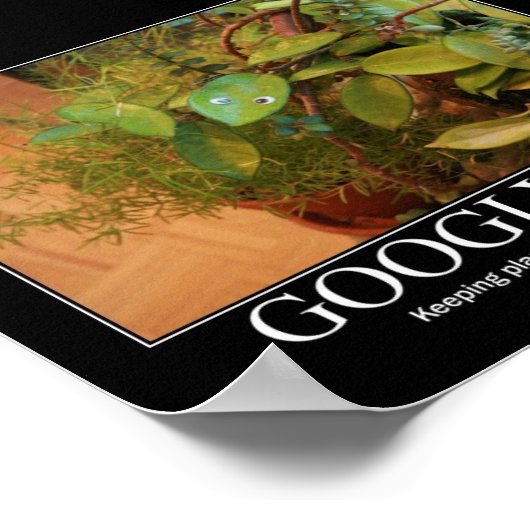 Googly Eyes Poster (Hoek)