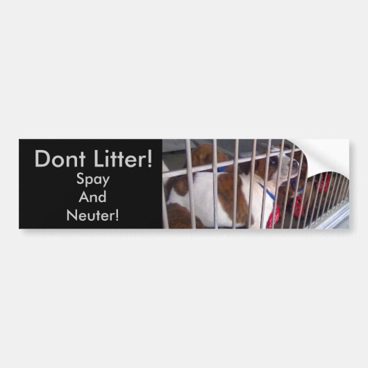 Gooi geen afval op straat bumpersticker (Voorkant)