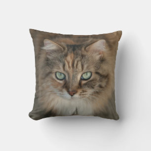 Gooi kussen met mooie groene ogen kat