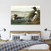 Goosander (Common Merganser) Audubon's vogels Canvas Afdruk (Insitu (Slaapkamer))