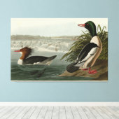 Goosander (Common Merganser) Audubon's vogels Canvas Afdruk (Insitu (Houten vloer))