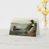 Goosander (Common Merganser) Audubon's vogels Kaart (Gele Bloem)