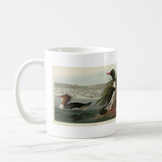 Goosander (Common Merganser) Audubon's vogels Koffiemok (Links)