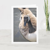 Goose Bird in Lake Portrait Kaart (Voorkant)