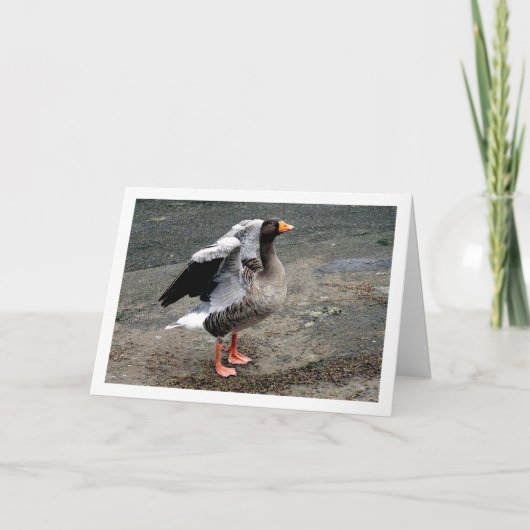 Goose Bird Portret Kaart (Voorkant)