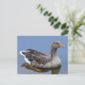 Goose Briefkaart (Staand voorkant)