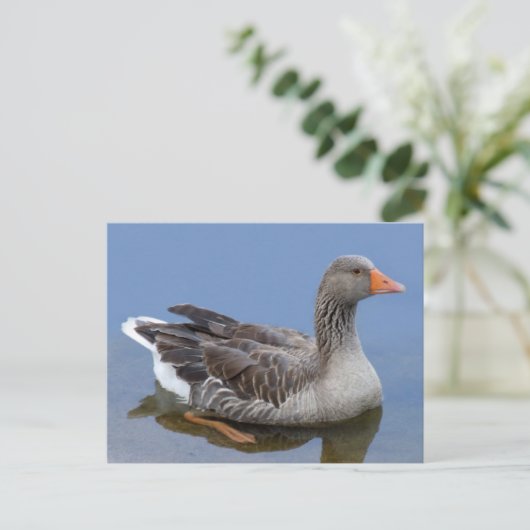 Goose Briefkaart (Staand voorkant)