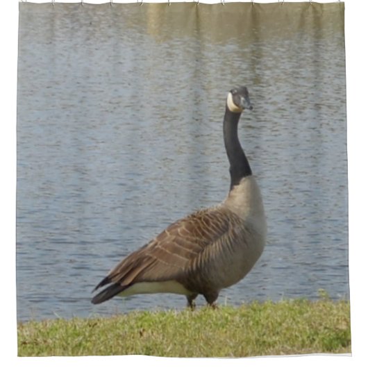 Goose By Pond Douchegordijn (Voorkant)