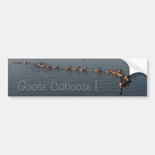 GOOSE CABOOSE DOOR SHARON SHARPE BUMPERSTICKER (Voorkant)
