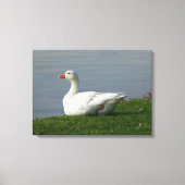 Goose Canvas Afdruk (Voorkant)
