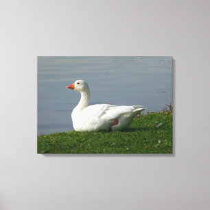 Goose Canvas Afdruk