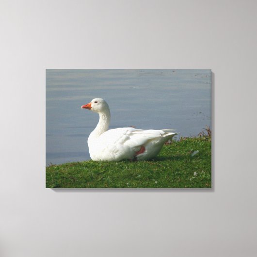 Goose Canvas Afdruk (Voorkant)