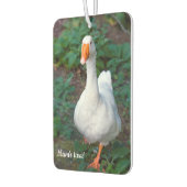 Goose Car air freshener Luchtverfrisser (Links)