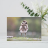 Goose Chick Natuur Photo Card (Staand voorkant)