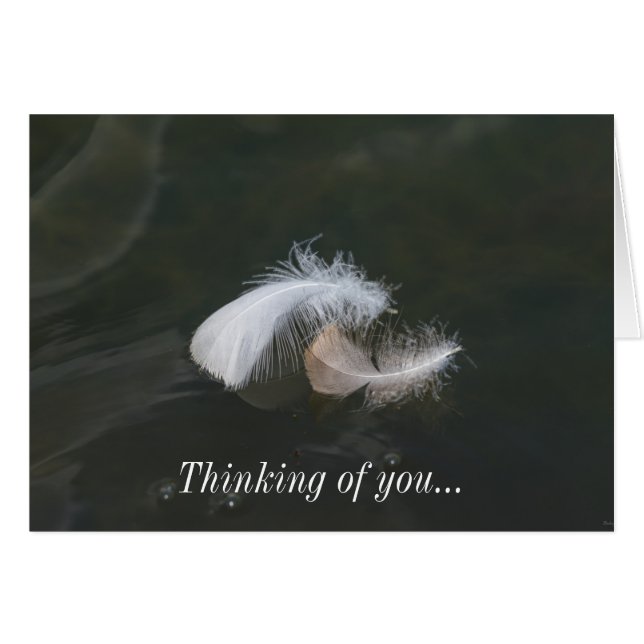 Goose Feathers Floating (Voorkant Horizontaal)