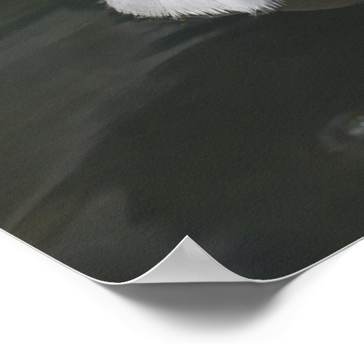 Goose Feathers Floating Poster (Hoek)