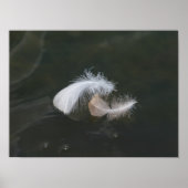 Goose Feathers Floating Poster (Voorkant)