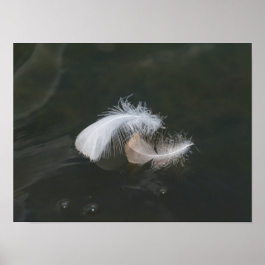 Goose Feathers Floating Poster (Voorkant)