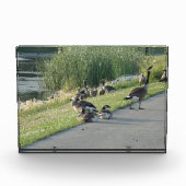 Goose Fotoblokken (Voorkant)