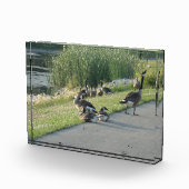 Goose Fotoblokken (Rechts)