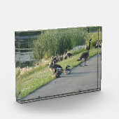 Goose Fotoblokken (Links)